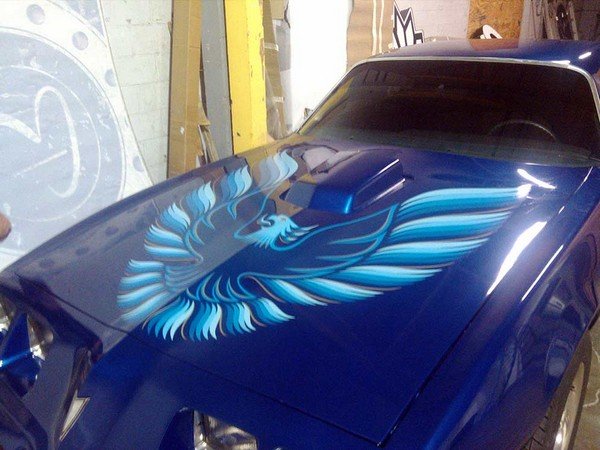 Vehicle Graphics